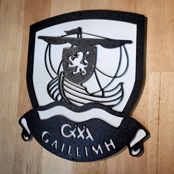 Large wooden GAA Galway Gaelic Sports 3D Sign Wall art Hanging Plaque Painted